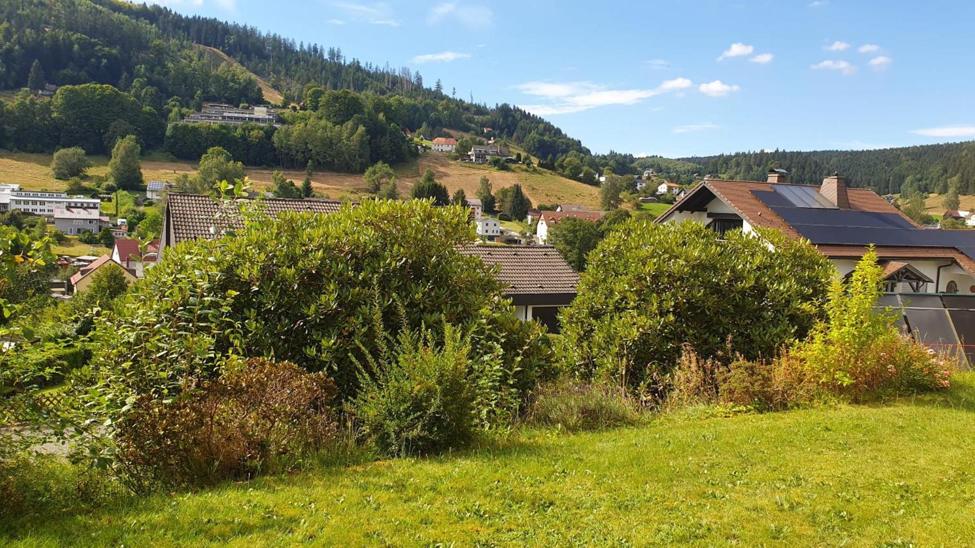 Hills House * Warmensteinach